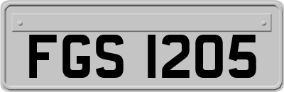 FGS1205