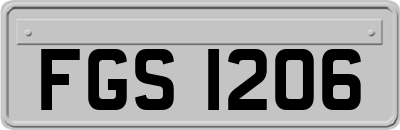 FGS1206