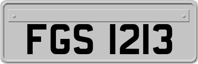 FGS1213