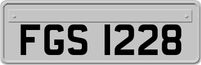 FGS1228