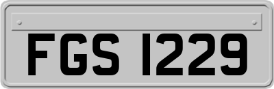 FGS1229