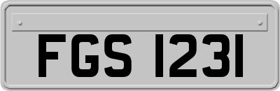 FGS1231
