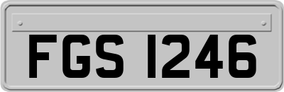FGS1246