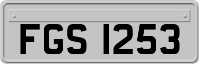 FGS1253