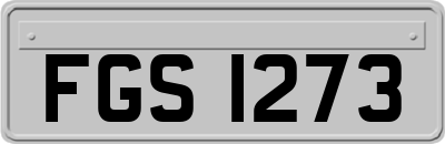 FGS1273