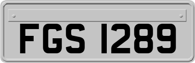 FGS1289