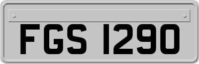 FGS1290