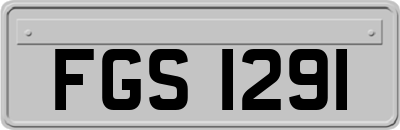 FGS1291