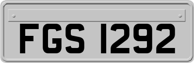 FGS1292
