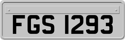 FGS1293