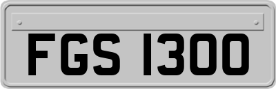 FGS1300