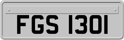FGS1301