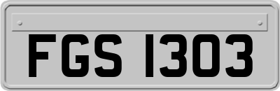 FGS1303