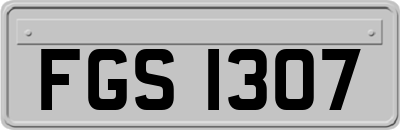 FGS1307