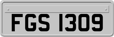FGS1309