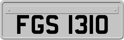 FGS1310