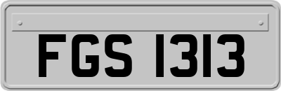 FGS1313