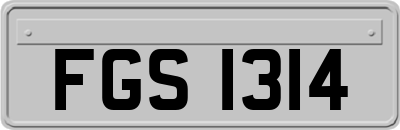 FGS1314