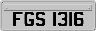 FGS1316