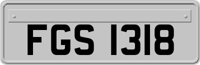 FGS1318