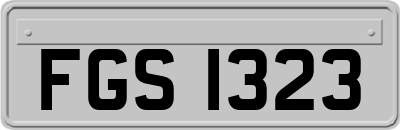 FGS1323