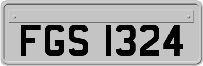 FGS1324