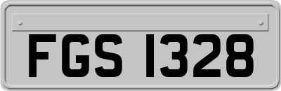 FGS1328