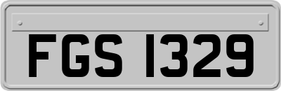 FGS1329
