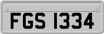 FGS1334