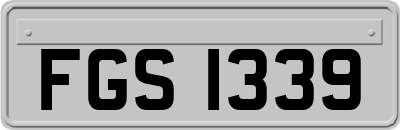 FGS1339