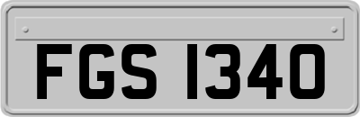 FGS1340