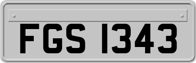 FGS1343