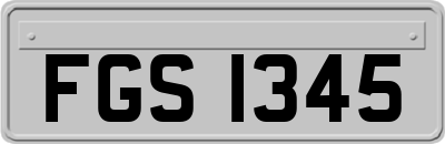 FGS1345