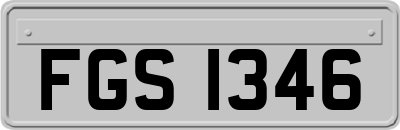 FGS1346