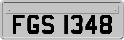 FGS1348