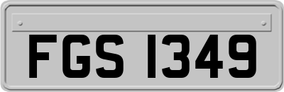 FGS1349
