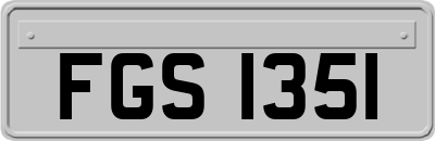 FGS1351