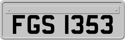 FGS1353