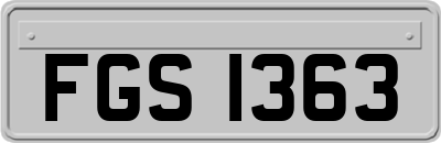 FGS1363