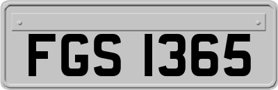 FGS1365