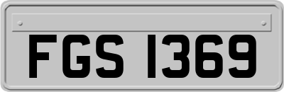 FGS1369
