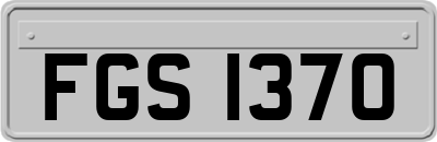 FGS1370