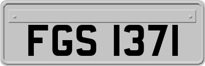 FGS1371