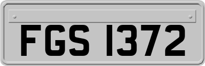 FGS1372