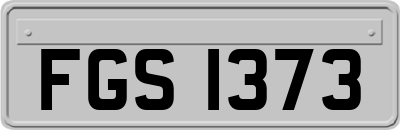 FGS1373