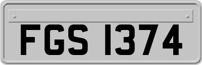 FGS1374