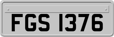 FGS1376