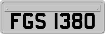 FGS1380