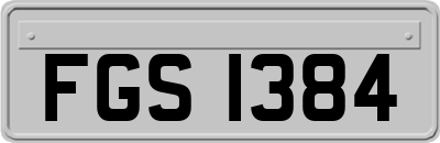 FGS1384