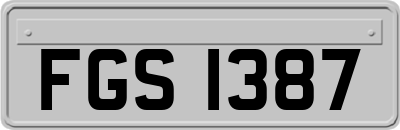 FGS1387